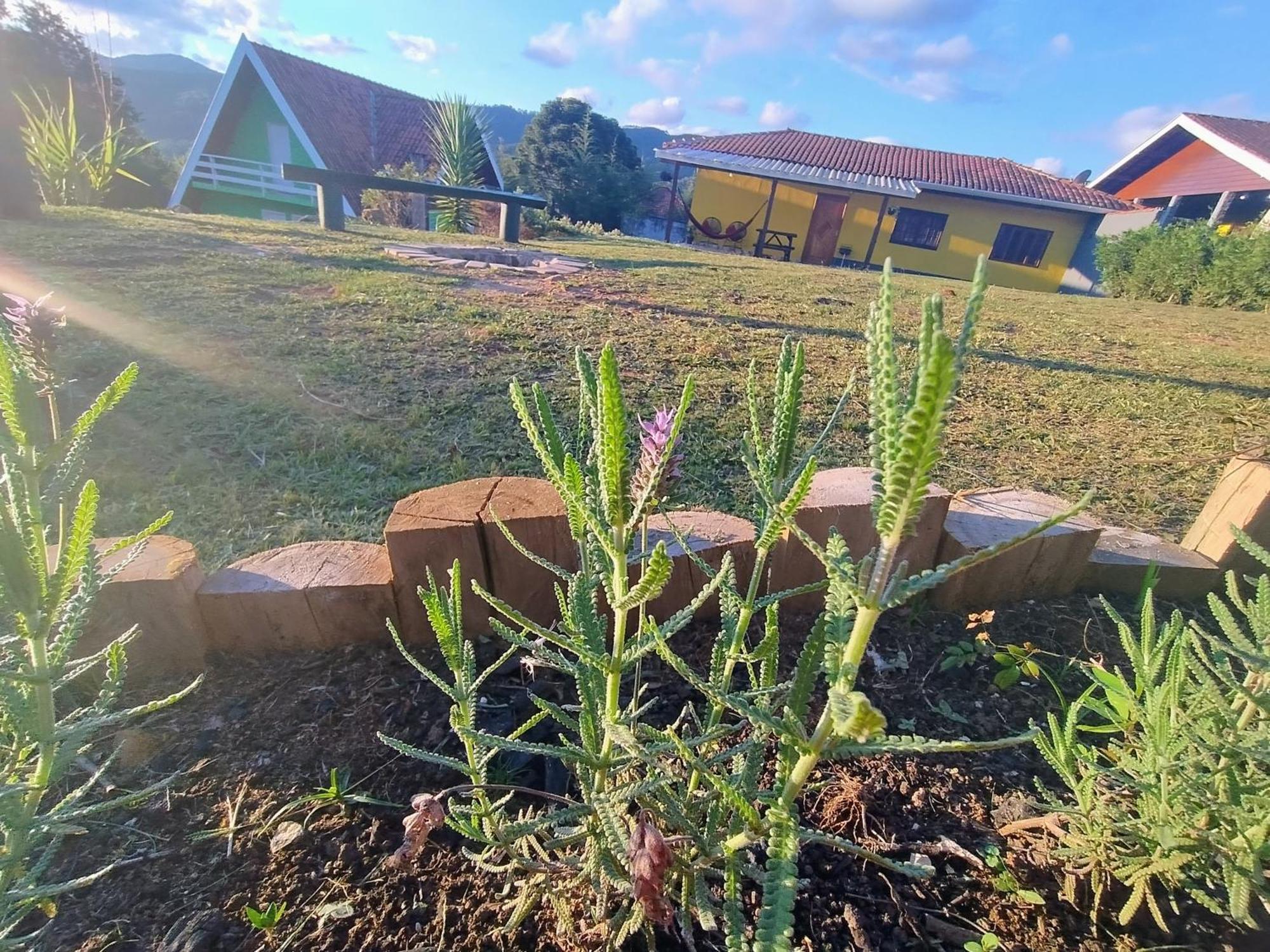 Casas Boa Vista Βίλα Campos do Jordão Εξωτερικό φωτογραφία